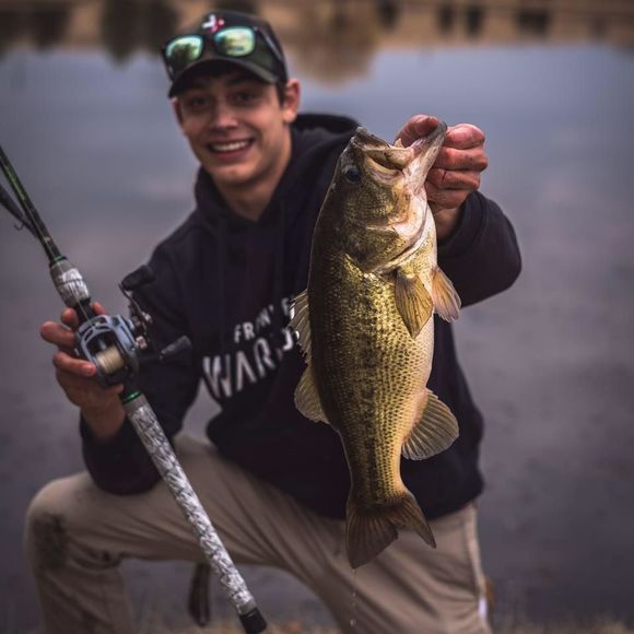 Meet your Posher, Kole - Picture 1 of 1